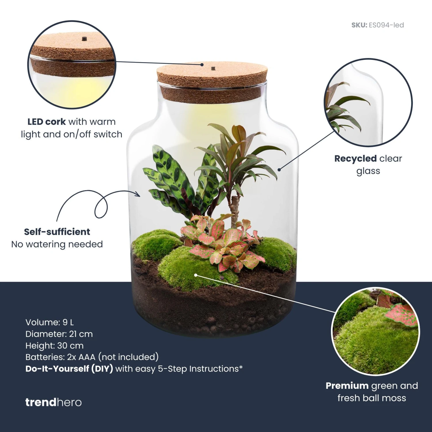 Milky Palm - Terrarium - Bottle Garden DIY Kit - Ø 21 Cm ↑ 30 Cm 5 Milky Palm - Terrarium - Bottle Garden DIY Kit - Ø 21 Cm ↑ 30 Cm - Image 3