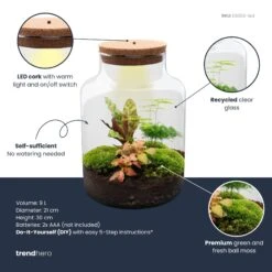Milky - Terrarium - Bottle Garden DIY Kit - Ø 21 Cm ↑ 30 Cm 11 Milky - Terrarium - Bottle Garden DIY Kit - Ø 21 Cm ↑ 30 Cm -Optimal Glass Plant Shop milky plant terrarium diy kit info trendhero