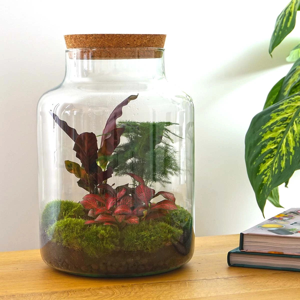 Milky - Terrarium - Bottle Garden DIY Kit - Ø 21 Cm ↑ 30 Cm 8 Milky - Terrarium - Bottle Garden DIY Kit - Ø 21 Cm ↑ 30 Cm - Image 6
