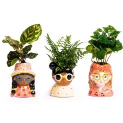 Mini Flower Pot Multi Color – Mini Jill - ↑ 10.2 Cm - Face Head -Optimal Glass Plant Shop mini planten 3stuks gezicht potje