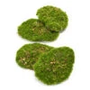Moss Plate - Green Moss – Set Of 4 - Artificial Moss 1 Moss Plate - Green Moss – Set Of 4 - Artificial Moss -Optimal Glass Plant Shop moss plates artificial 4pcs