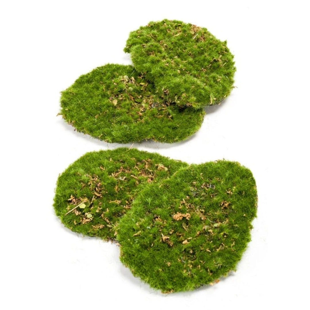 Moss Plate - Green Moss – Set Of 4 - Artificial Moss