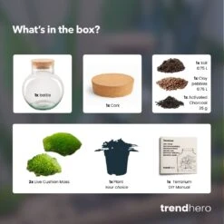 Noah - Terrarium - Bottle Garden DIY Kit - Ø 18.5 Cm ↑ 19 Cm 20 Noah - Terrarium - Bottle Garden DIY Kit - Ø 18.5 Cm ↑ 19 Cm -Optimal Glass Plant Shop noah choose plant terrarium diy bottle garden 7ae91e73 54c0 452d 99f9 635c8609199d