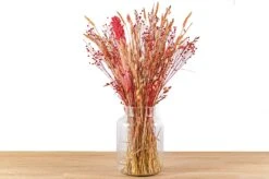 Dried Flowers - Surprise Bouquet - At The Value Of € 39,50 -Optimal Glass Plant Shop pink FH007 droogbloemen in vaas trockenblumen2 4ab9230e 068f 44c8 bbbe aaecc70208b9