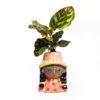 Mini Flower Pot Multi Color – Mini Jill - ↑ 10.2 Cm - Face Head 2 Mini Flower Pot Multi Color – Mini Jill - ↑ 10.2 Cm - Face Head -Optimal Glass Plant Shop potje gezicht calathea mini plant