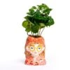 Mini Flower Pot Multi Color - Bobbi - Face Head - 10.5 Cm -Optimal Glass Plant Shop potje gezicht coffea arabica mini plant 5f0e6d32 f911 4280 b627 0e5100e52476