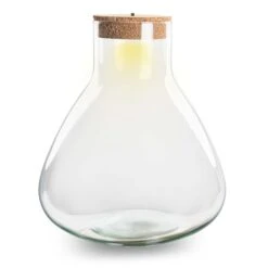 Terrarium Bottle 'Sam XL' - Incl. LED Cork - Closed Terrarium Ø 30 Cm ↑ 32 Cm -Optimal Glass Plant Shop sam xl terrarium flaschengarten mit licht
