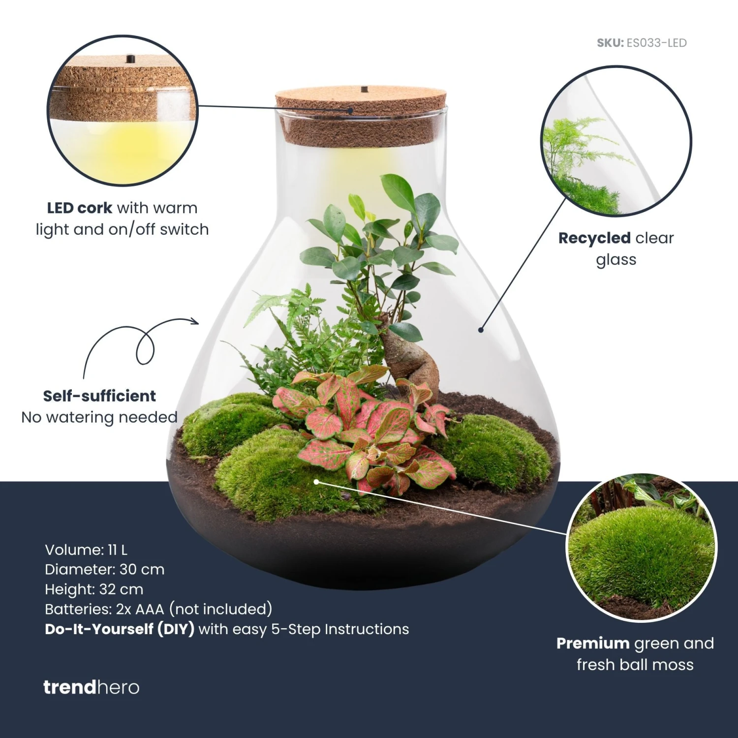 Sam XL Bonsai - Terrarium With Light - Bottle Garden DIY Kit - Ø 30 cm ↑ 32 cm 6 Sam XL Bonsai - Terrarium With Light - Bottle Garden DIY Kit - Ø 30 cm ↑ 32 cm - Image 4