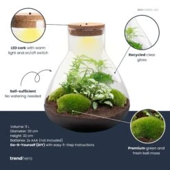 Sam XL - Terrarium With Light - Bottle Garden DIY Kit - Ø 30 cm ↑ 32 cm 12 Sam XL - Terrarium With Light - Bottle Garden DIY Kit - Ø 30 cm ↑ 32 cm -Optimal Glass Plant Shop samxl green plant terrarium diy kit info trendhero