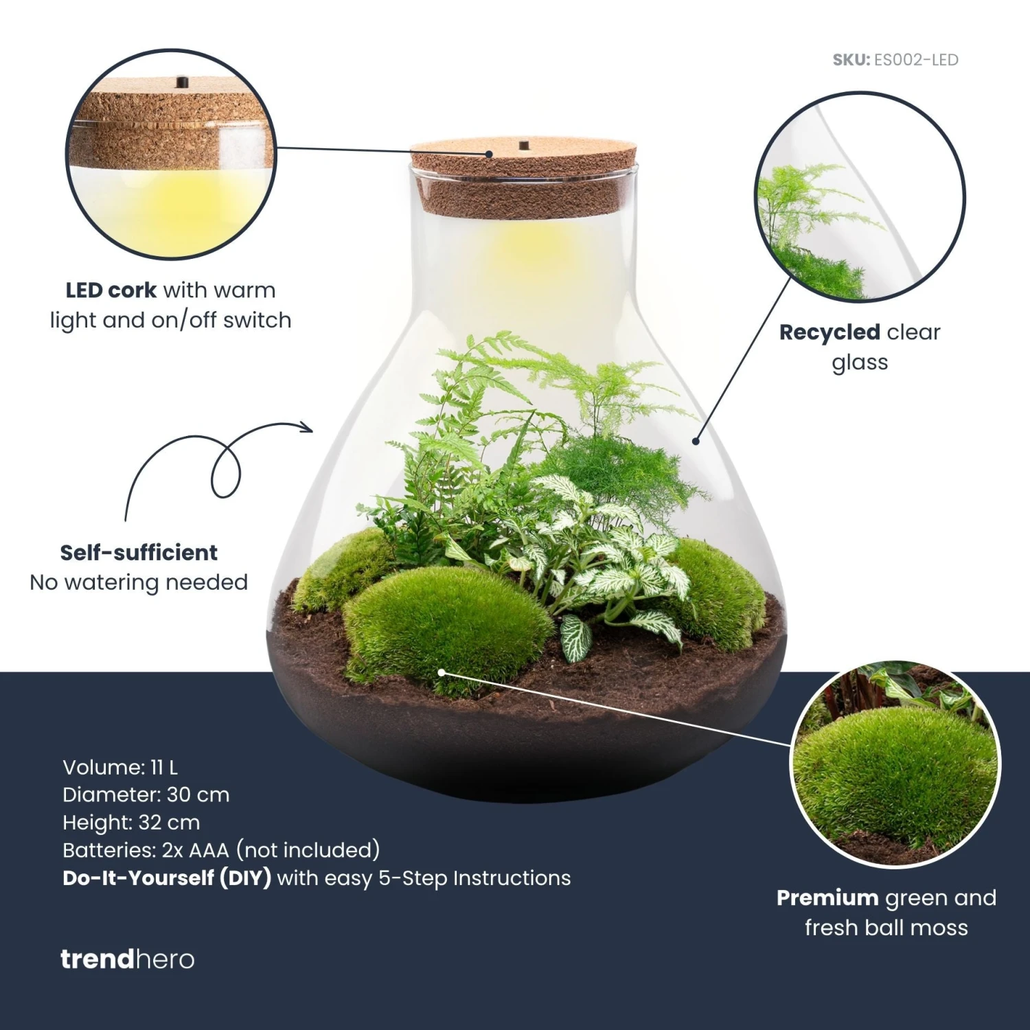Sam XL - Terrarium With Light - Bottle Garden DIY Kit - Ø 30 cm ↑ 32 cm 6 Sam XL - Terrarium With Light - Bottle Garden DIY Kit - Ø 30 cm ↑ 32 cm - Image 4
