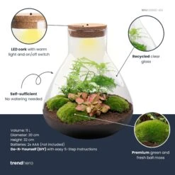Sam XL Red - Terrarium With Light - Bottle Garden DIY Kit - Ø 30 cm ↑ 32 cm -Optimal Glass Plant Shop samxl red plant terrarium diy kit info trendhero