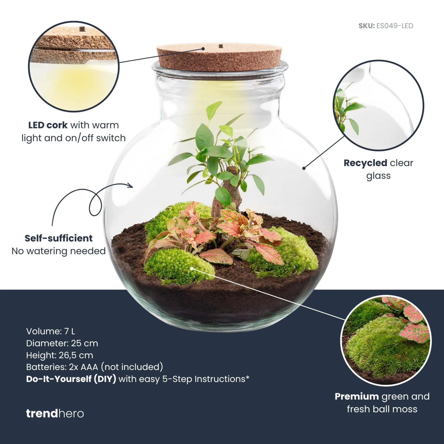 Teddy Bonsai - Terrarium With Light - Bottle Garden DIY Kit - Ø 25 Cm ↑ 26,5 Cm 5 Teddy Bonsai - Terrarium With Light - Bottle Garden DIY Kit - Ø 25 Cm ↑ 26,5 Cm - Image 3
