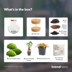 Teddy Bonsai - Terrarium With Light - Bottle Garden DIY Kit - Ø 25 Cm ↑ 26,5 Cm 12 Teddy Bonsai - Terrarium With Light - Bottle Garden DIY Kit - Ø 25 Cm ↑ 26,5 Cm -Optimal Glass Plant Shop teddy bonsai terrarium diy bottle garden dd62156b 9784 4758 bba7 39c274a349fe