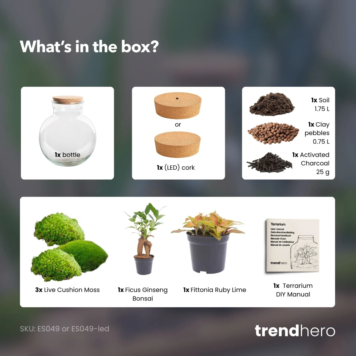 Teddy Bonsai - Terrarium With Light - Bottle Garden DIY Kit - Ø 25 Cm ↑ 26,5 Cm 6 Teddy Bonsai - Terrarium With Light - Bottle Garden DIY Kit - Ø 25 Cm ↑ 26,5 Cm - Image 4