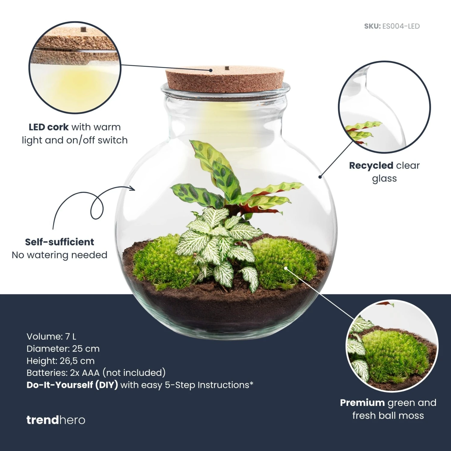 Teddy - Terrarium With Light - Bottle Garden DIY Kit - Ø 25 Cm ↑ 26,5 Cm 5 Teddy - Terrarium With Light - Bottle Garden DIY Kit - Ø 25 Cm ↑ 26,5 Cm - Image 3