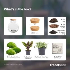 Teddy - Terrarium With Light - Bottle Garden DIY Kit - Ø 25 Cm ↑ 26,5 Cm 11 Teddy - Terrarium With Light - Bottle Garden DIY Kit - Ø 25 Cm ↑ 26,5 Cm -Optimal Glass Plant Shop teddy terrarium diy bottle garden