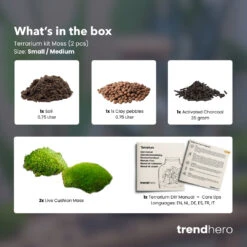 Optimal Glass Plant Shop -Optimal Glass Plant Shop terrarium S M refill moss no plants kit trendhero b9388fd2 e480 4894 9da0 1197a5cf4111