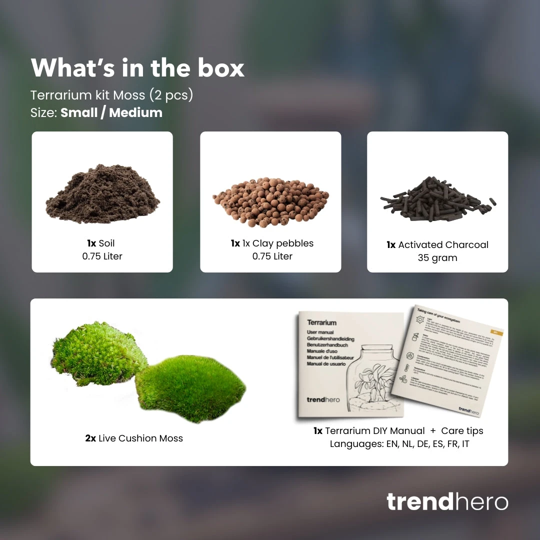 Terrarium Package – Refill & Starter Package – DIY Terrarium Kit – Size S/M 4 Terrarium Package – Refill & Starter Package – DIY Terrarium Kit – Size S/M - Image 2