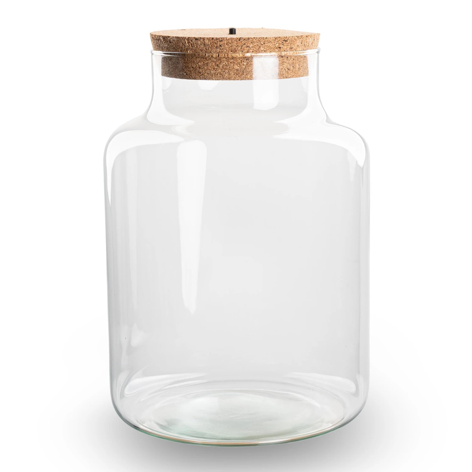 Terrarium Bottle 'Little Milky' - Incl. LED Cork - Closed Terrarium Ø 17 Cm ↑ 25 Cm 4 Terrarium Bottle 'Little Milky' - Incl. LED Cork - Closed Terrarium Ø 17 Cm ↑ 25 Cm - Image 2