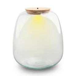 Terrarium Bottle ‘Emma' - Incl. LED Cork - Closed Terrarium Ø 23 Cm ↑ 25 Cm