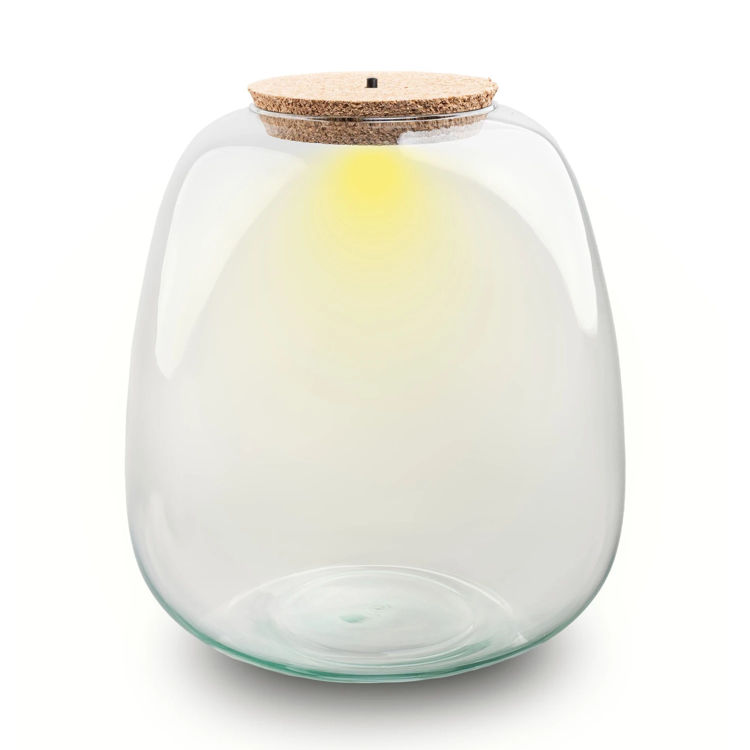 Terrarium Bottle ‘Emma' - Incl. LED Cork - Closed Terrarium Ø 23 Cm ↑ 25 Cm 3 Terrarium Bottle ‘Emma' - Incl. LED Cork - Closed Terrarium Ø 23 Cm ↑ 25 Cm
