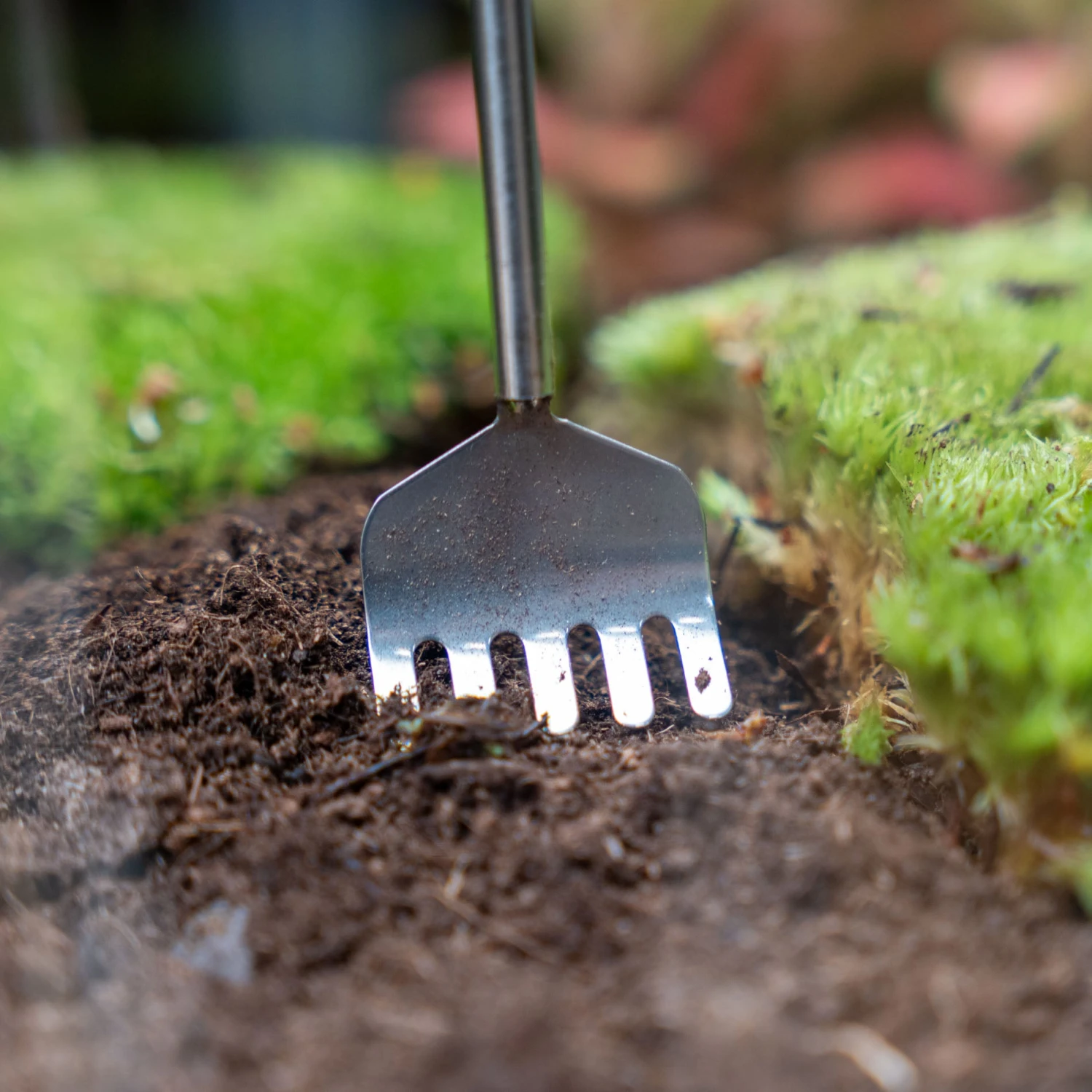 Terrarium Tool - Rake - 16-49 Cm - Telescopic - Stainless Steel 3 Terrarium Tool - Rake - 16-49 Cm - Telescopic - Stainless Steel