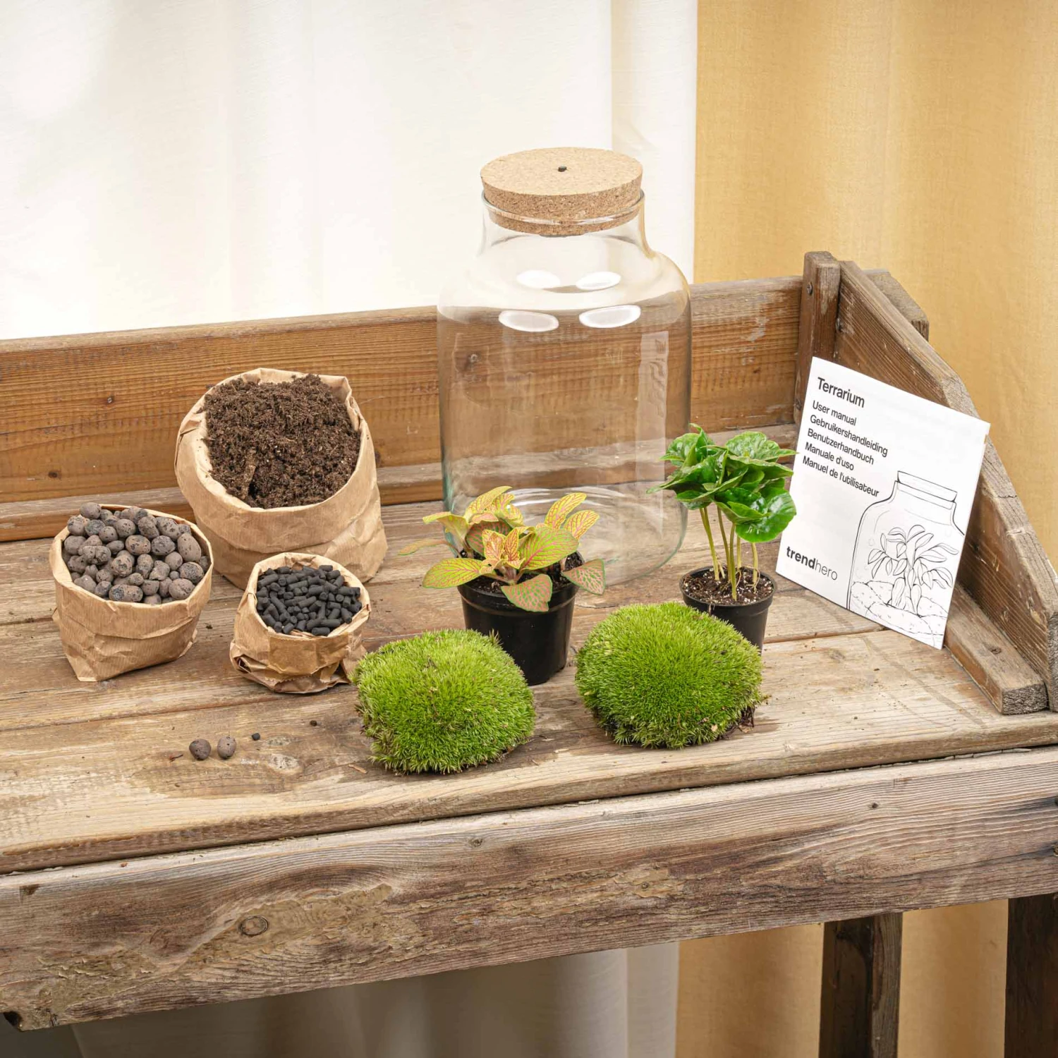 Little Milky - Terrarium With Light - Bottle Garden DIY Kit - Ø 17 Cm ↑ 25 Cm 11 Little Milky - Terrarium With Light - Bottle Garden DIY Kit - Ø 17 Cm ↑ 25 Cm - Image 9