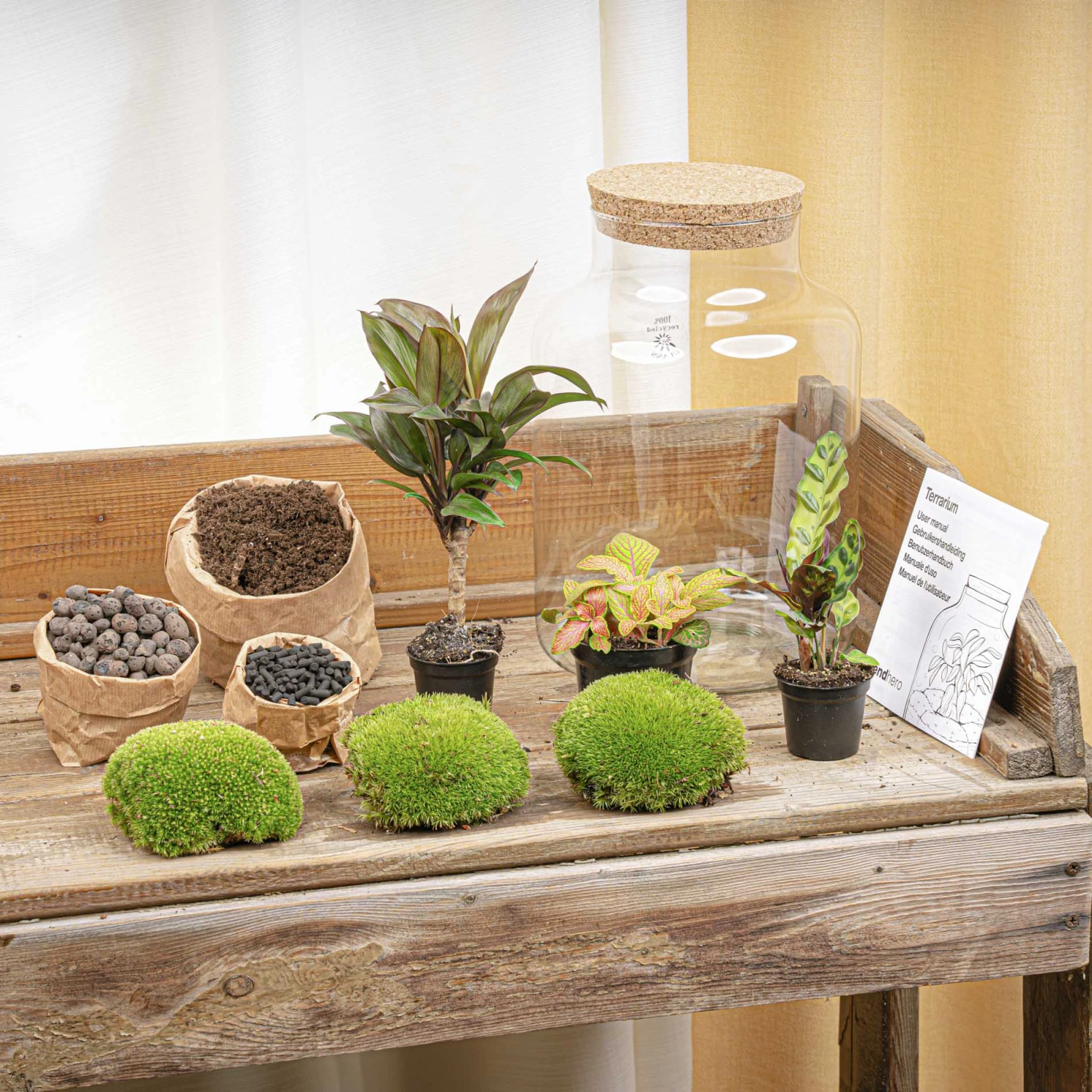 Milky Palm - Terrarium - Bottle Garden DIY Kit - Ø 21 Cm ↑ 30 Cm 6 Milky Palm - Terrarium - Bottle Garden DIY Kit - Ø 21 Cm ↑ 30 Cm - Image 4