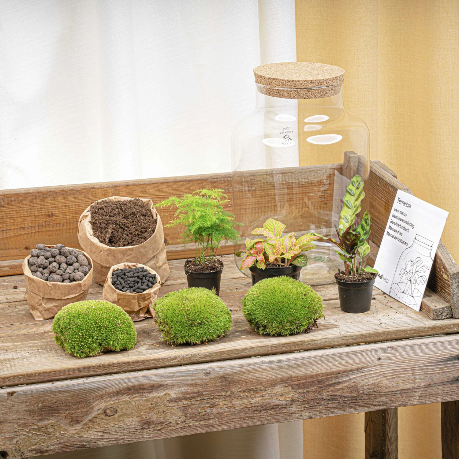 Milky - Terrarium - Bottle Garden DIY Kit - Ø 21 Cm ↑ 30 Cm 6 Milky - Terrarium - Bottle Garden DIY Kit - Ø 21 Cm ↑ 30 Cm - Image 4