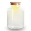 Terrarium Bottle 'Little Milky' - Incl. LED Cork - Closed Terrarium Ø 17 Cm ↑ 25 Cm 1 Terrarium Bottle 'Little Milky' - Incl. LED Cork - Closed Terrarium Ø 17 Cm ↑ 25 Cm -Optimal Glass Plant Shop terrarium met licht trendhero
