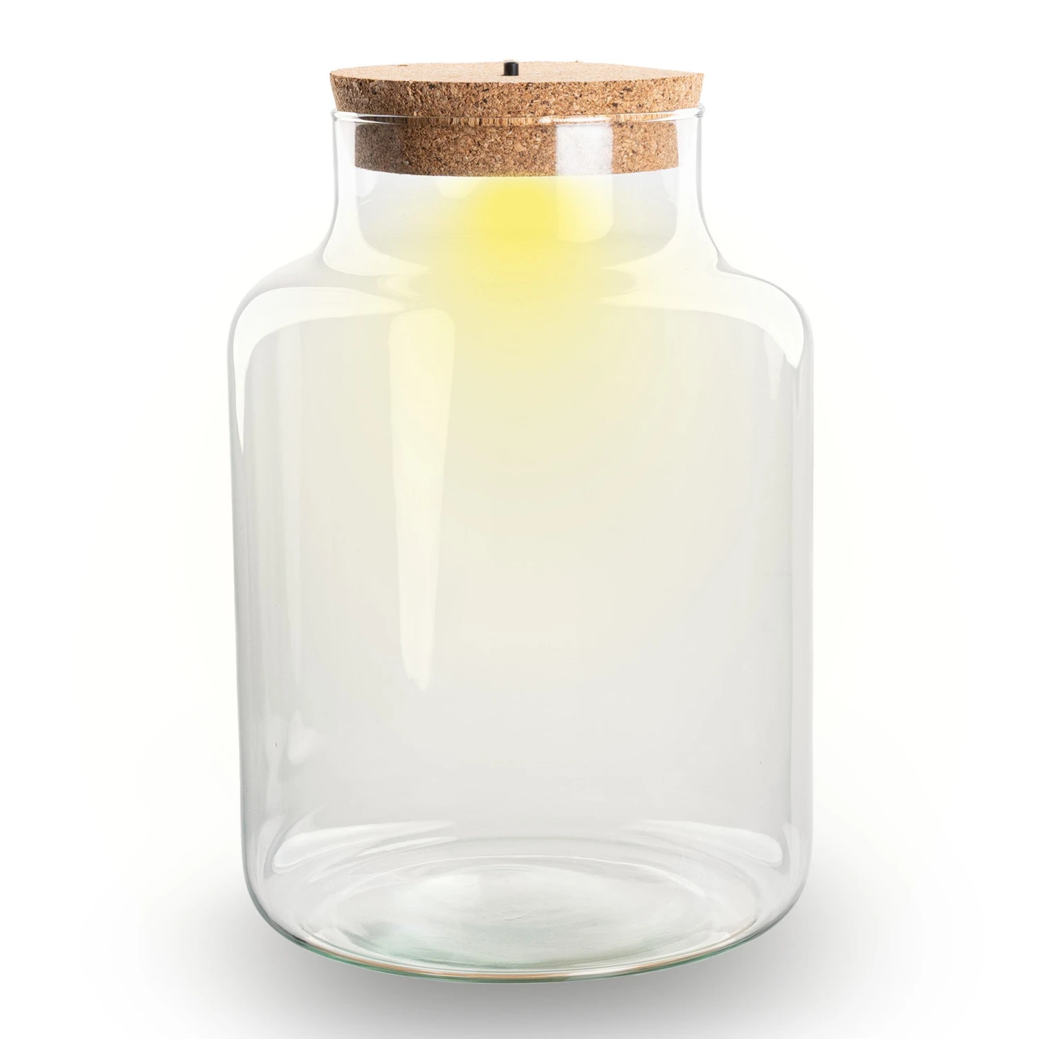 Terrarium Bottle 'Little Milky' - Incl. LED Cork - Closed Terrarium Ø 17 Cm ↑ 25 Cm 3 Terrarium Bottle 'Little Milky' - Incl. LED Cork - Closed Terrarium Ø 17 Cm ↑ 25 Cm