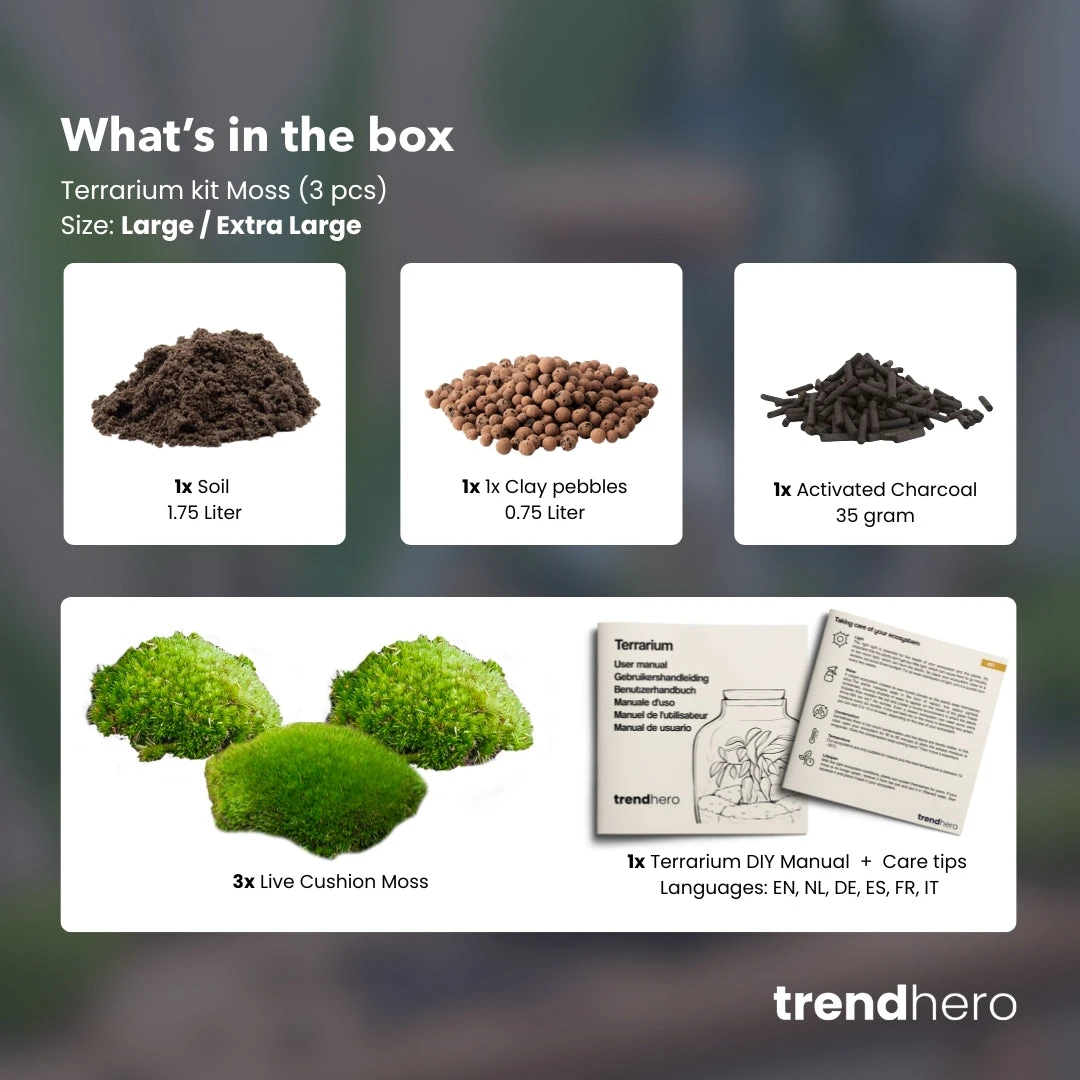 Terrarium Package – Refill & Starter Package – DIY Terrarium Kit – Size L/XL 4 Terrarium Package – Refill & Starter Package – DIY Terrarium Kit – Size L/XL - Image 2