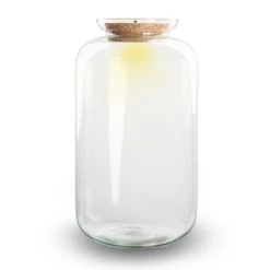 Terrarium Bottle 'Sven XL' - Incl. LED Cork - Closed Terrarium Ø 23 Cm ↑ 43 Cm 9 Terrarium Bottle 'Sven XL' - Incl. LED Cork - Closed Terrarium Ø 23 Cm ↑ 43 Cm -Optimal Glass Plant Shop terrarium sven xl flaschengarten 2