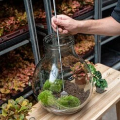 Terrarium Tool - Rake - 16-49 Cm - Telescopic - Stainless Steel 10 Terrarium Tool - Rake - 16-49 Cm - Telescopic - Stainless Steel -Optimal Glass Plant Shop terrarium tool telescopic