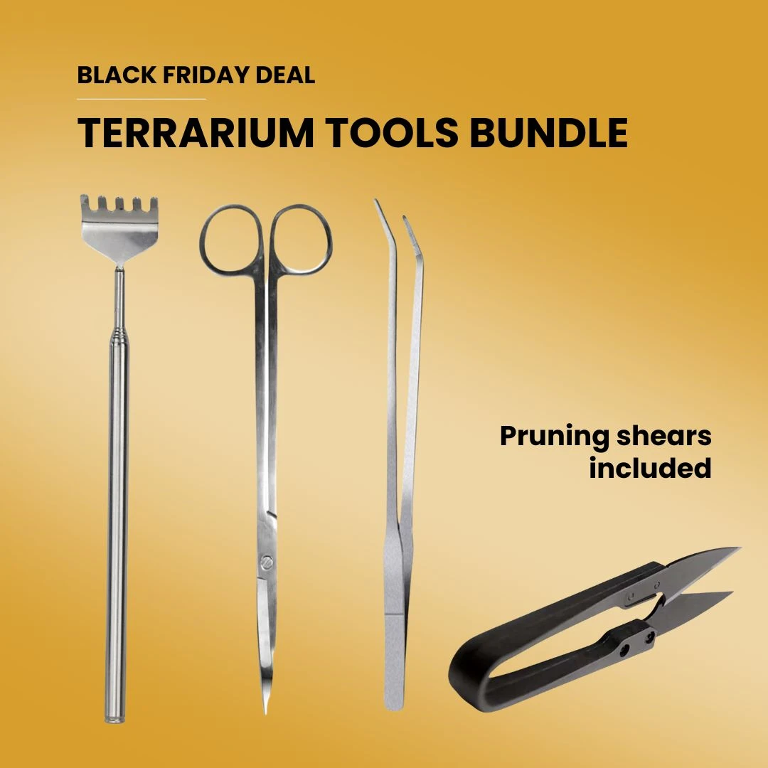 Terrarium Tools Bundle – Black Friday Deal 3 Terrarium Tools Bundle – Black Friday Deal
