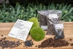 Terrarium Package – Refill & Starter Package – DIY Terrarium Kit – Size S/M 11 Terrarium Package – Refill & Starter Package – DIY Terrarium Kit – Size S/M -Optimal Glass Plant Shop trendhero terrarium kit no plants