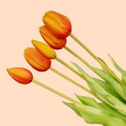 Tulip Bouquet – 10 Pieces – Mixed Colours – ‘Real Touch’ Artificial Tulips – 42 Cm (white/green) 20 Tulip Bouquet – 10 Pieces – Mixed Colours – ‘Real Touch’ Artificial Tulips – 42 Cm (white/green) -Optimal Glass Plant Shop tulpen boeket oranje 5 pcs web 5e8a78fb 4f01 4623 a04d 39d29be8e923