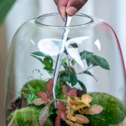 ESSCHERT DESIGN Extra Long Terrarium Tweezer - 26 Cm - Stainless Steel -Optimal Glass Plant Shop tweezer terrarium long stainless steel flaschengarten 003